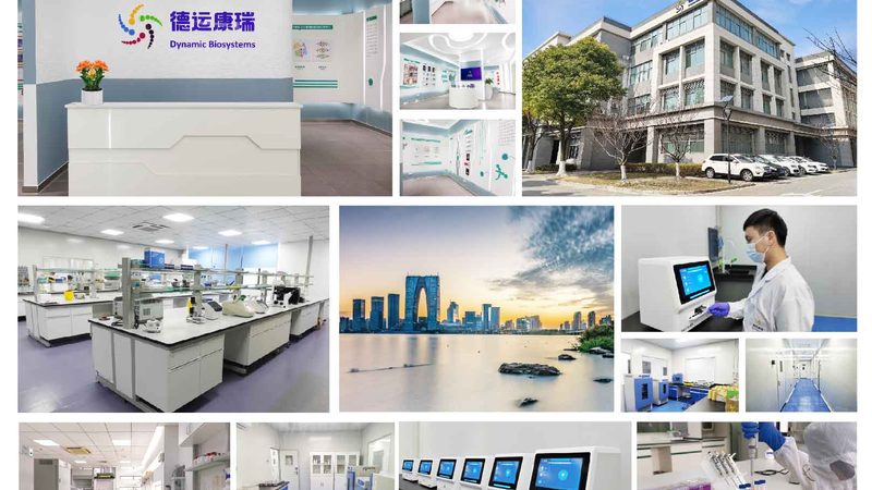 引物HPLC纯化：揭秘高效纯化背后的关键因素