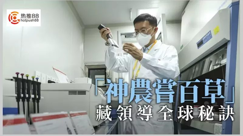 基因检测，代理之路：揭秘个人基因检测代理的奥秘**