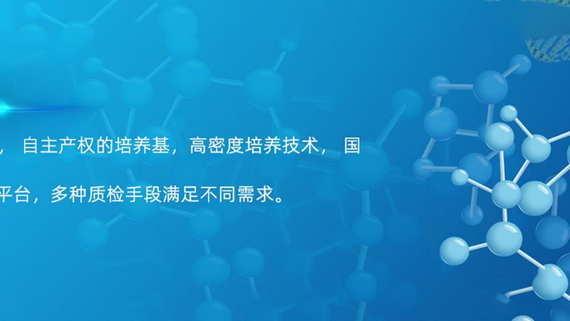 荧光引物修饰到底看什么