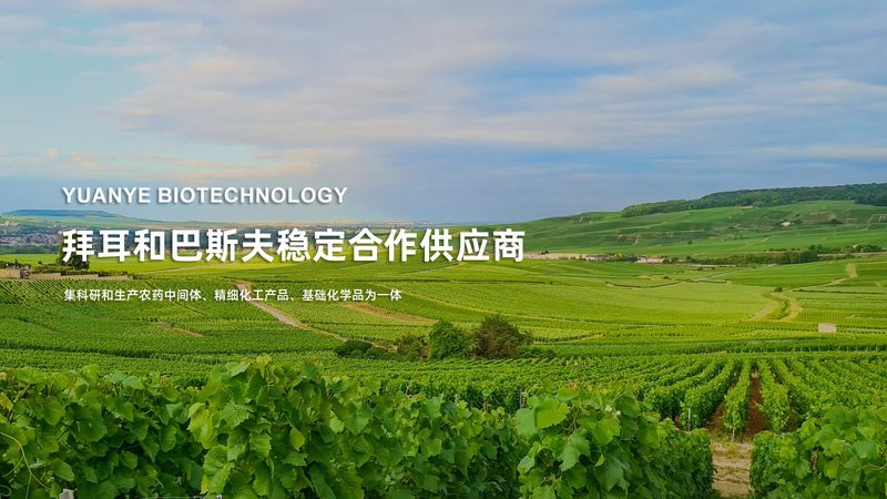 化学实验室移液器：如何选择合适的“助手”**