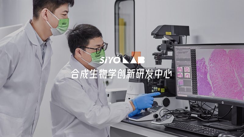 鼠抗人单克隆抗体实验：揭秘高效制备的五大步骤**