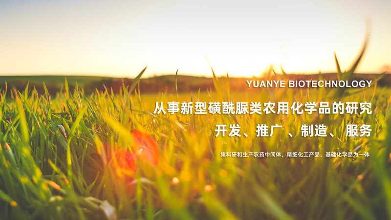 快速引物合成：揭秘高效PCR实验的秘密武器**