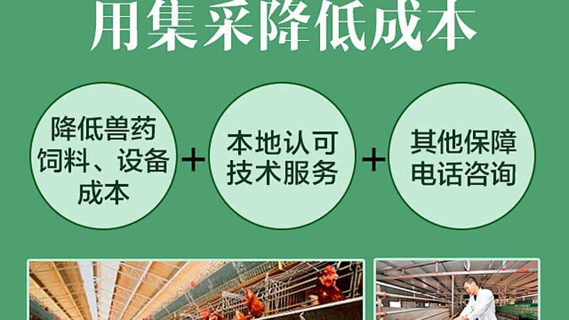 CDMO的质量管理体系直接关系到产品的安全性和有效性。企业应关注以下方面：
