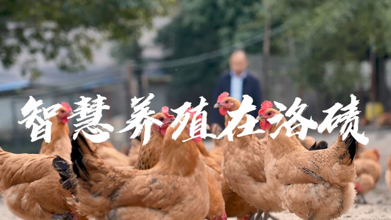 CDMO代工费用差异背后，藏着哪些定价逻辑