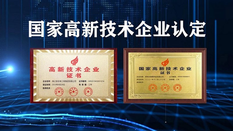 脂肪酶：揭秘其生产与选择的关键因素