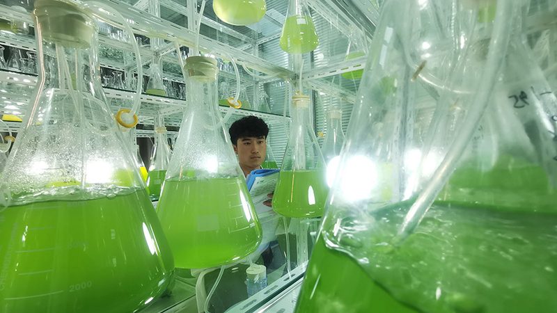 CRO转化率优化：从实验设计到数据驱动的完整路径